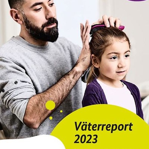 Titelbild Väterreport